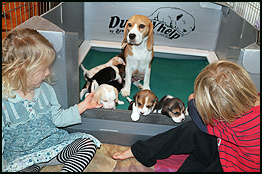 Sonya and Puppies and Grand Babies